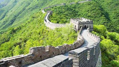 China Educational Trip