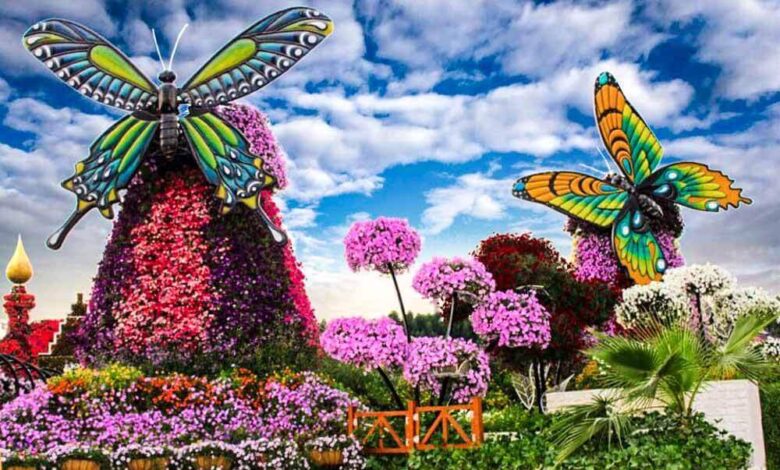 Dubai Miracle Garden
