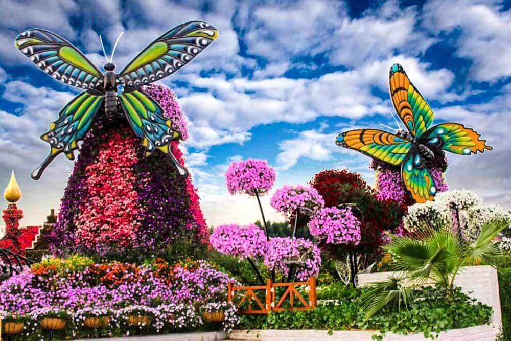 Dubai Miracle Garden